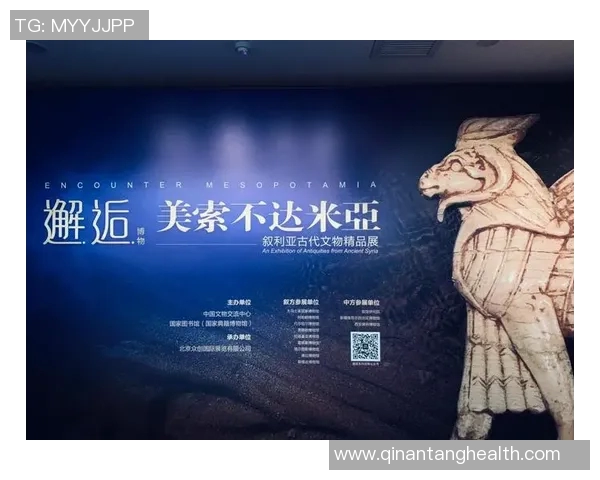 叙利亚与中国历史的交汇点探讨与文化交流的深远影响