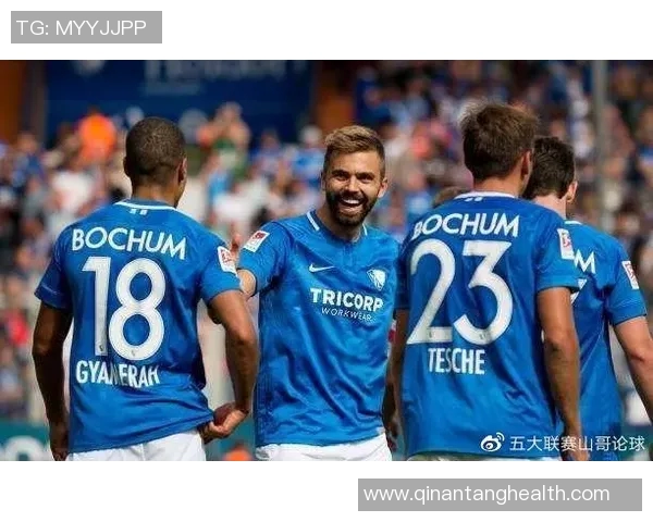 菲尔特与奥厄对决分析及胜负推荐策略分享