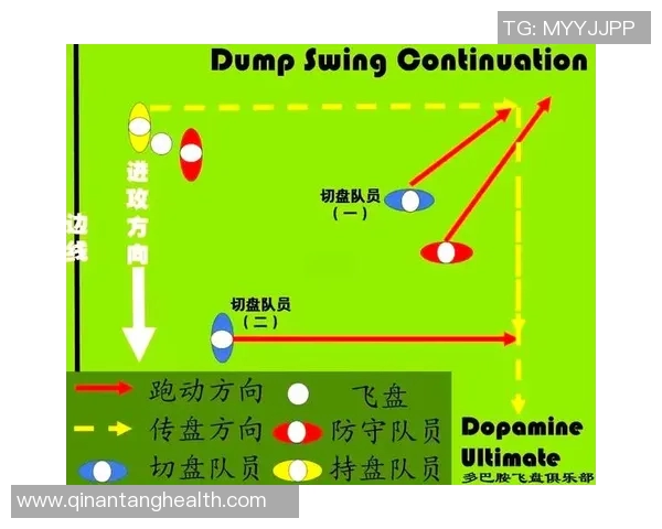 重庆飞盘队战术深度分析与转换打法的独特魅力 重庆飞盘队战术深度分析与转换打法的独特魅力