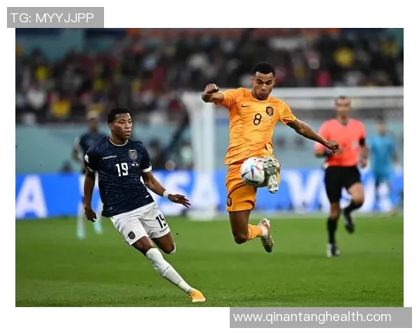 加克波：从新星崛起到足球巨星的华丽转身与未来展望